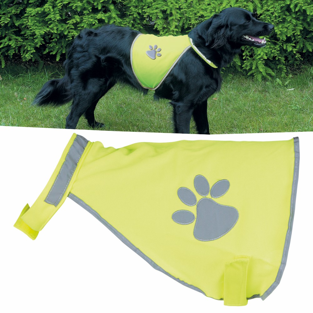 warnweste für hunde