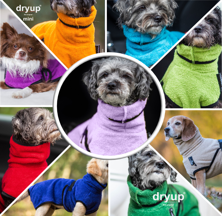 dryup® Cape MINI Hundebademantel Trockencape Baumwollfrottee Größe 30-45cm alle Farben