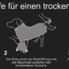 dryup Cape Hundebademantel speziell für Dackel Trockencape Baumwollfrottee 5 Größen - dunkelgrün (darkgreen)