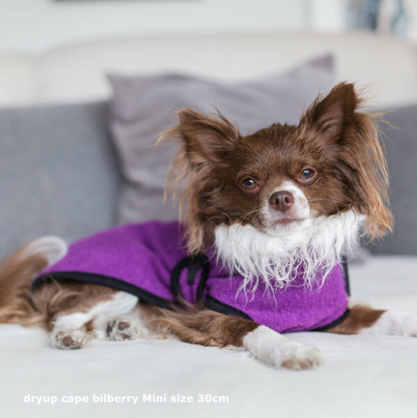 dryup® Cape MINI Hundebademantel Trockencape Baumwollfrottee Größe 30-45cm alle Farben