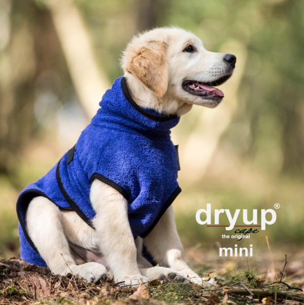 dryup® Cape MINI Hundebademantel Trockencape Baumwollfrottee Größe 30-45cm alle Farben