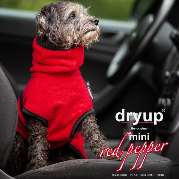 dryup® Cape MINI Hundebademantel Trockencape Baumwollfrottee Größe 30-45cm alle Farben