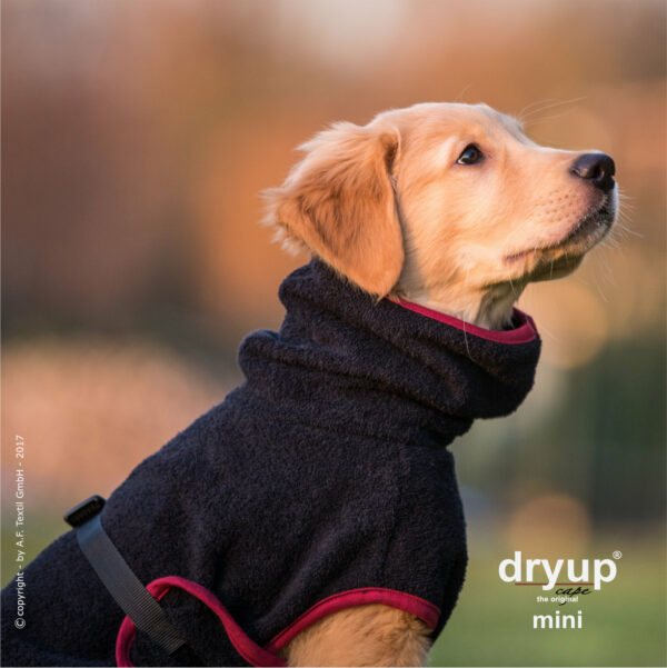 dryup® Cape MINI Hundebademantel Trockencape Baumwollfrottee Größe 30-45cm alle Farben