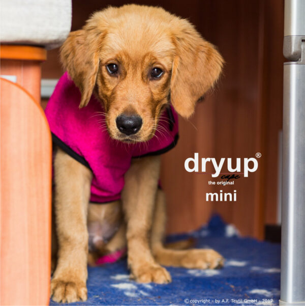 dryup® Cape MINI Hundebademantel Trockencape Baumwollfrottee Größe 30-45cm alle Farben