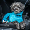 dryup® Cape MINI Hundebademantel Trockencape Baumwollfrottee Größe 30-45cm alle Farben