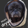 header dryup mops 1