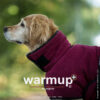 Warmup Cape PLUS Hundemantel Hundecape Hundejacke Hunde Mantel 3 Farben alle Größen