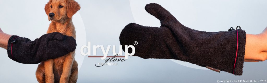 Head Banner dryup glove