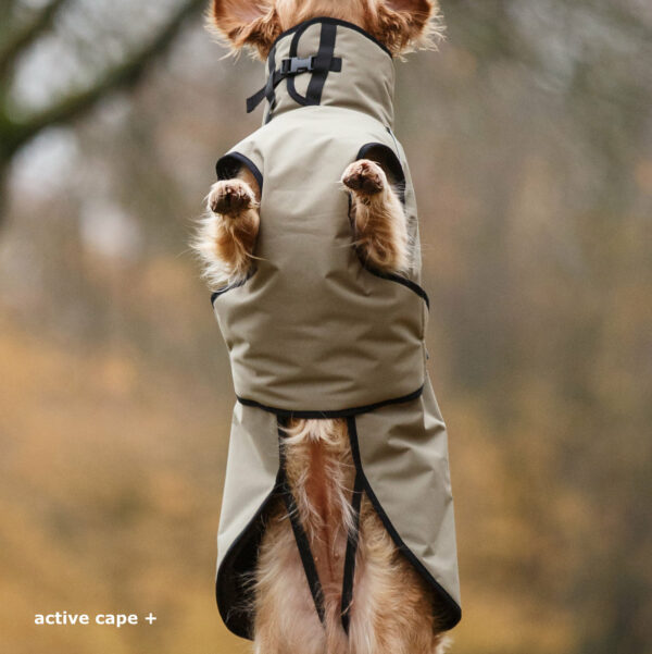 @actionfactory "active" Cape PLUS