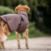Actionfactory Hundemantel "Active Cape Light" Allwetter Hundejacke Regenmantel 30cm-XXL