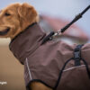 Actionfactory Hundemantel "Active Cape Light" Allwetter Hundejacke Regenmantel 30cm-XXL