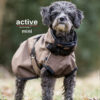 Actionfactory Hundemantel "Active Cape Light" Allwetter Hundejacke Regenmantel 30cm-XXL