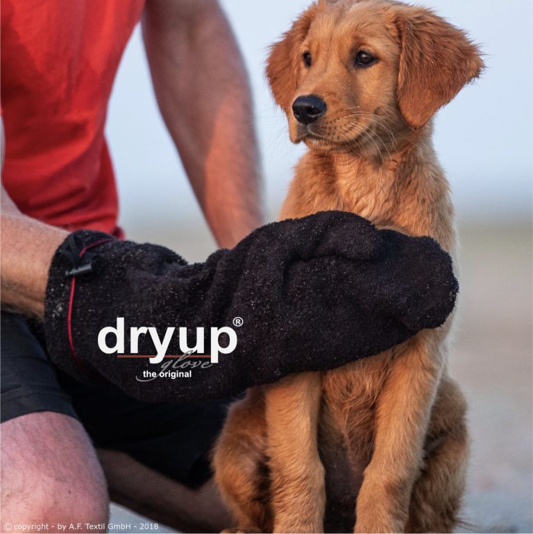 dryup® Glove Hund trocknen Handschuh Hunde Trockenhandschuh groß Baumwollfrottee
