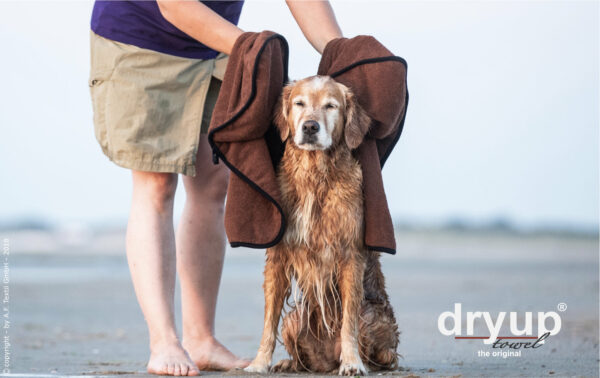 dryup towel Hundehandtuch Handtuch extra saugfähig Baumwolle Handtuch braun 75x120cm