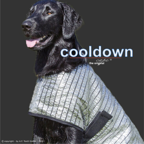header cooldown cape