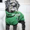 dryup® Cape MINI Hundebademantel Trockencape Baumwollfrottee Größe 30-45cm alle Farben