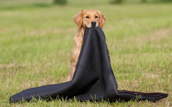 warmup blanket big in mouth