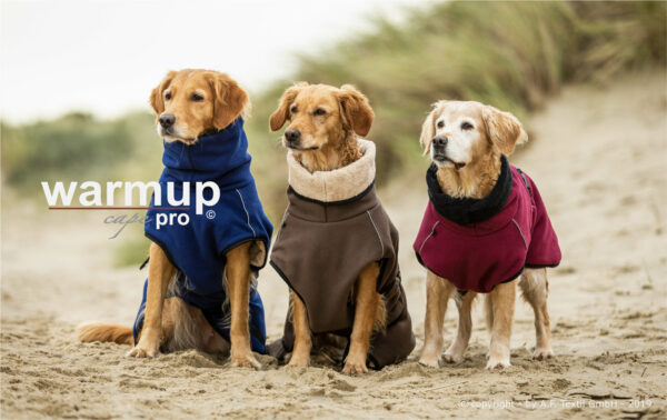 Warmup Cape "PRO" Hundemantel Hundecape Hundejacke Hunde Mantel 4 Farben alle Größen