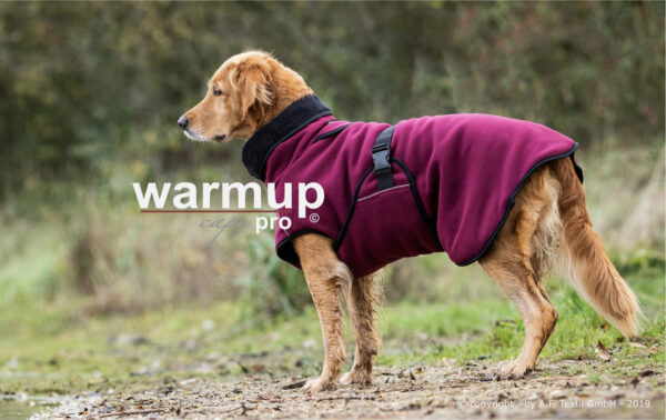 Warmup Cape "PRO" Hundemantel Hundecape Hundejacke Hunde Mantel 4 Farben alle Größen