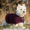 Warmup Cape Classic MINI Hundemantel Hundecape Hundejacke Hundemantel 3 Farben