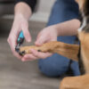 Trixie Krallenschere Katze Hund Nager Vögel Kleintiere Hunde Krallenpflege 4 Größen