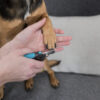 Trixie Krallenschere Katze Hund Nager Vögel Kleintiere Hunde Krallenpflege 4 Größen