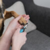 Trixie Krallenschere Katze Hund Nager Vögel Kleintiere Hunde Krallenpflege 4 Größen