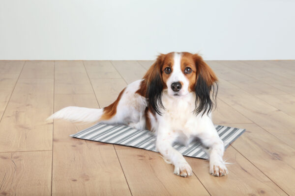 Trixie® Kühlmatte Hunde Katze Kühldecke selbstkühlend kühlen 6 Größen 4 Farben