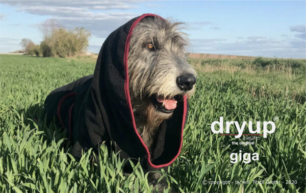 dryup cape GIGA
