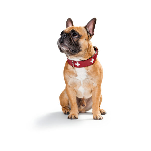 Hunter Swiss Halsband Hundehalsband Nappaleder Rot Schwarz Braun Natur Beige