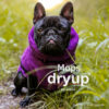 dryup Cape Hundebademantel speziell für Mops Trockencape Baumwollfrottee 6 Größen *Bilberry | Lila*