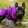 dryup Cape Hundebademantel speziell für Mops Trockencape Baumwollfrottee 6 Größen *Bilberry | Lila*
