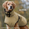 @actionfactory "active" Cape PLUS