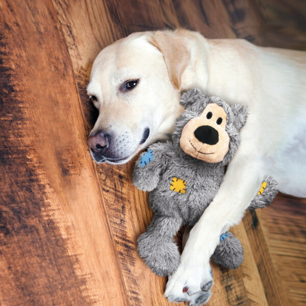 KONG® Wild Knots Bears - Hundespielzeug Bär Plüschtier mit Seil Bärchen Hundespielzeug alle Sorten