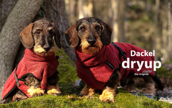 dryup Cape Hundebademantel speziell für Dackel Trockencape Baumwollfrottee 5 Größen - Bordeaux (rot)