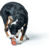 Hunter® Hunde Futterdummy Dummy Snackdummy Trainer Trainingsdummy Tough Pombas