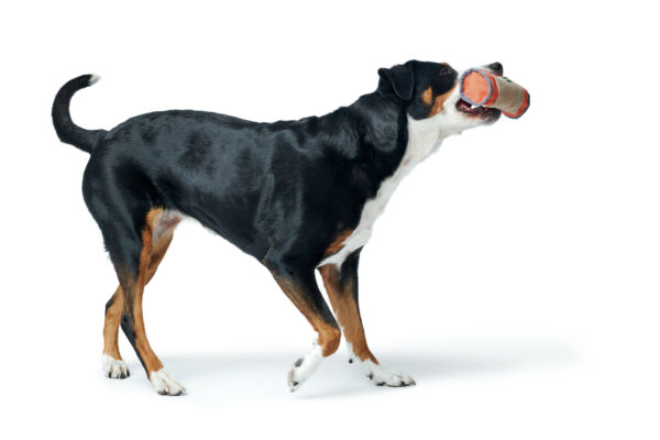Hunter® Hunde Futterdummy Dummy Snackdummy Trainer Trainingsdummy Tough Pombas