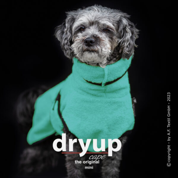 dryup® Cape MINI Hundebademantel Trockencape Baumwollfrottee Größe 30-45cm alle Farben