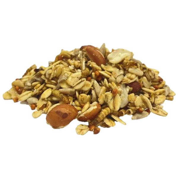 Welzhofer Insekten Menü 1 kg – Energie für Wild- & Gartenvögel