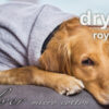 dryup Cape Royal Hundebademantel Trockencape Baumwollfrottee alle Farben XS XXL 254173238091 11
