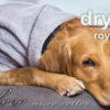 dryup® Cape Royal Hundebademantel Trockencape Baumwollfrottee alle Farben XS-XXL