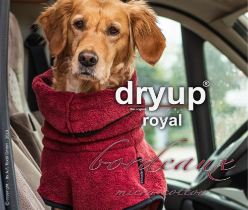 dryup Cape Royal Hundebademantel Trockencape Baumwollfrottee alle Farben XS XXL 254173238091 2
