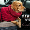 dryup® Cape Royal Hundebademantel Trockencape Baumwollfrottee alle Farben XS-XXL