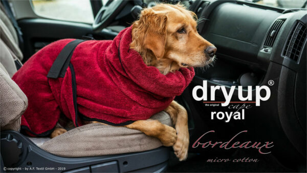 dryup® Cape Royal Hundebademantel Trockencape Baumwollfrottee alle Farben XS-XXL