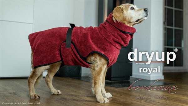 dryup® Cape Royal Hundebademantel Trockencape Baumwollfrottee alle Farben XS-XXL