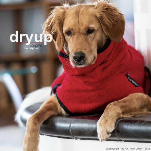 dryup® Cape Hundebademantel Trockencape Baumwollfrottee Größe XS-XXL alle Farben
