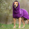 dryup® Cape Hundebademantel Trockencape Baumwollfrottee Größe XS-XXL alle Farben