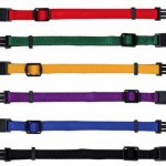 verstellbare Welpenhalsbnder Trixie Welpen Hunde Halsband 12 Farben 2 Gren 253141697212 3