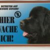 Warntafel "Hier wache ich" Hunde Warnschild 20x14 cm Außenbereich 25 Hunderassen