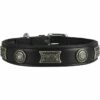 Knuffelwuff Nieten Leder Hundehalsband Halsband Hamilton Schwarz alle Größen